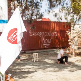 Eucapocalypts Now Eleanor Malbon